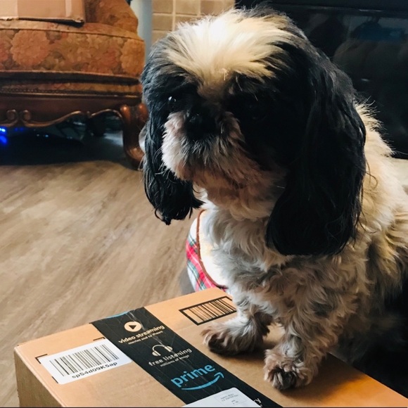 Meet your Posher, Tracy - Picture 6 of 10